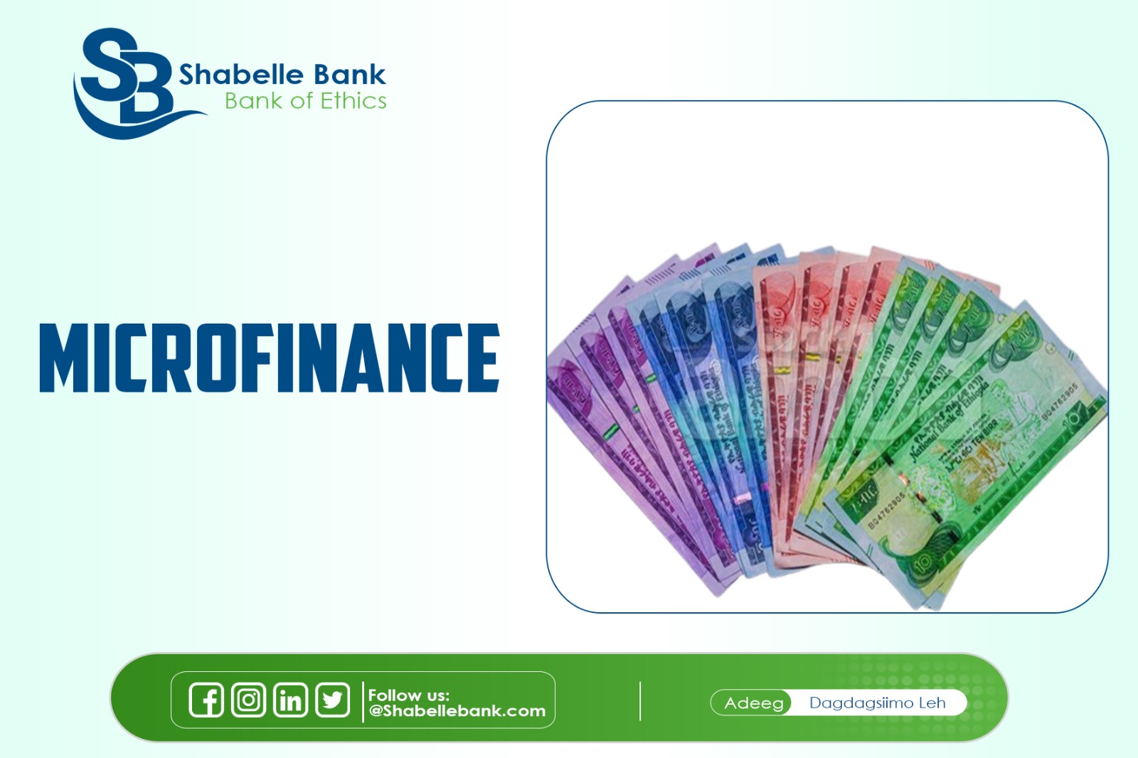 Shabelle Bank.net